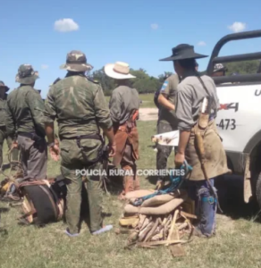 La Cruz: recuperaron 59 animales vacunos en un allanamiento por presunto abigeato