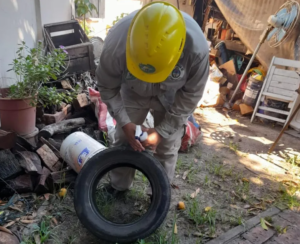 Lucha contra el dengue: refuerzan las medidas de prevención