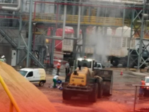 Un operario murió tras ser arrollado por una pala mecánica dentro de un aserradero