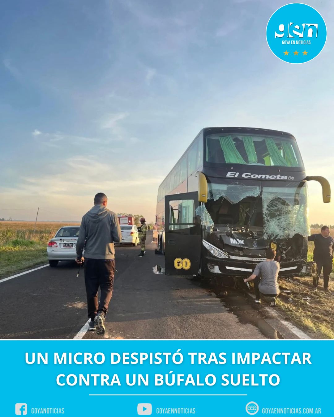 UN MICRO DESPISTÓ TRAS IMPACTAR CONTRA UN BÚFALO SUELTO