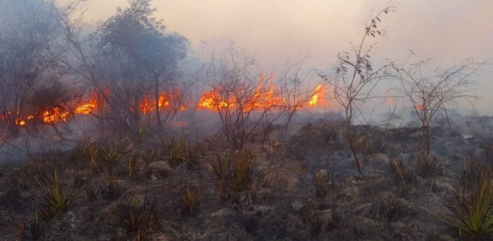 Santo Tomé: fuego, viento y negligencia acechó a familias