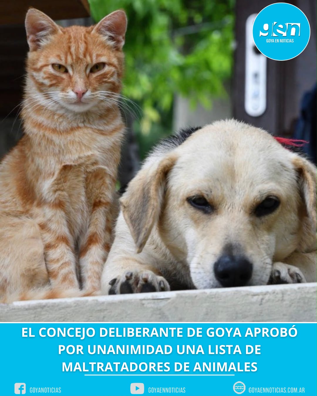 Goya: el Concejo Deliberante aprobó por unanimidad una lista de maltratadores de animales